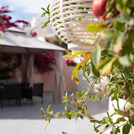 Santorini Oasis- Cave House Villa Fira  Eksteriør billede