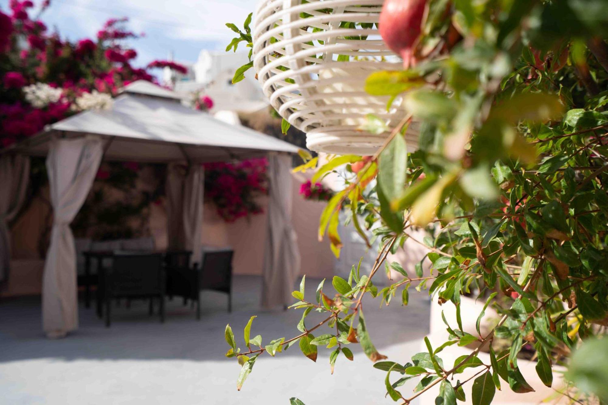 Santorini Oasis- Cave House Villa Fira  Eksteriør billede